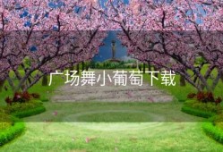 广场舞小葡萄下载