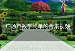 广场舞教学简单的合集视频