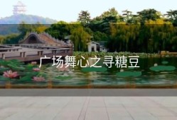 广场舞心之寻糖豆