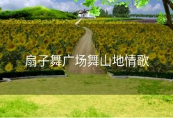 扇子舞广场舞山地情歌