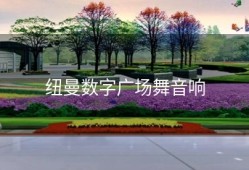 纽曼数字广场舞音响