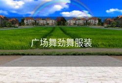 广场舞劲舞服装