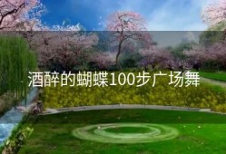 酒醉的蝴蝶100步广场舞