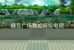 糖豆广场舞如何投电视