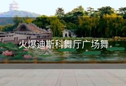 火爆迪斯科舞厅广场舞