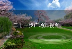 二十一步广场舞视频