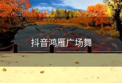 抖音鸿雁广场舞