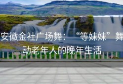 安徽金社广场舞：“等妹妹”舞动老年人的晚年生活
