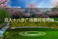双人十八步广场舞阿哥阿妹