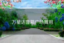 万星达音箱广场舞用