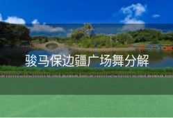 骏马保边疆广场舞分解