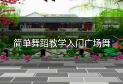 简单舞蹈教学入门广场舞