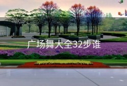 广场舞大全32步谁
