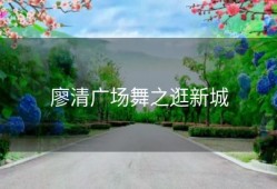 廖清广场舞之逛新城