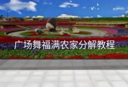 广场舞福满农家分解教程