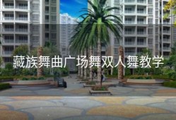 藏族舞曲广场舞双人舞教学