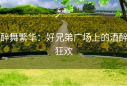 醉舞繁华：好兄弟广场上的酒醉狂欢