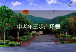 中老年三步广场舞