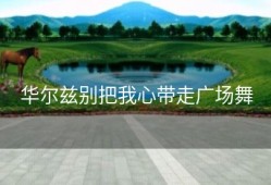 华尔兹别把我心带走广场舞