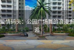 爱情码头：公园广场舞的浪漫邂逅