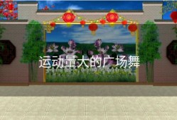 运动量大的广场舞