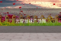 光穿丝袜广场舞