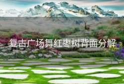 复古广场舞红枣树背面分解