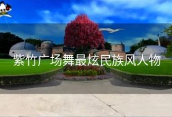 紫竹广场舞最炫民族风人物