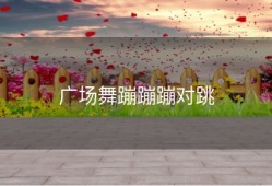 广场舞蹦蹦蹦对跳