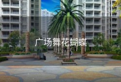 广场舞花蝴蝶