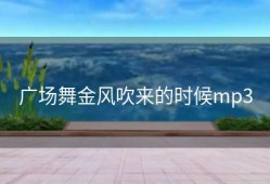 广场舞金风吹来的时候mp3