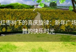 红枣树下的喜庆旋律：新年广场舞的快乐时光