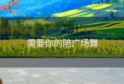 需要你的陪广场舞