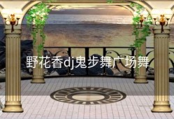 野花香dj鬼步舞广场舞