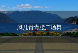 风儿青青腰广场舞