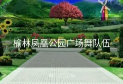 榆林凤凰公园广场舞队伍