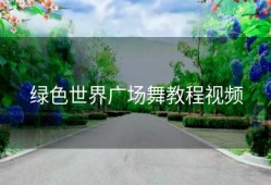 绿色世界广场舞教程视频
