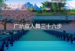 广场双人舞三十六步