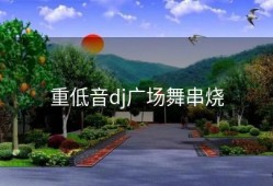 重低音dj广场舞串烧