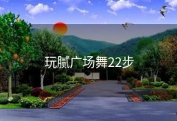 玩腻广场舞22步