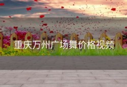 重庆万州广场舞价格视频