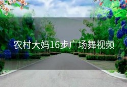 农村大妈16步广场舞视频