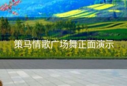 策马情歌广场舞正面演示