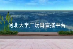 河北大学广场舞直播平台