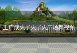 王广成火了火了火广场舞视频