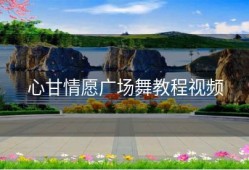 心甘情愿广场舞教程视频