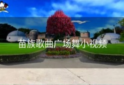 苗族歌曲广场舞小视频