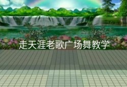 走天涯老歌广场舞教学