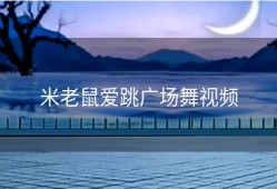 米老鼠爱跳广场舞视频