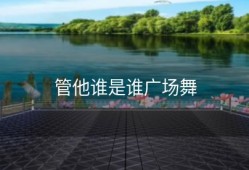 管他谁是谁广场舞